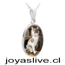 Collar con base de plata chilena 950, Resina Fotografica (Personaliza tu dije)