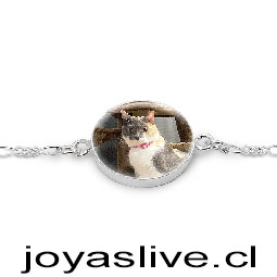 Pulsera plata chilena 950, personaliza con la fotografia que quieras.