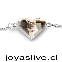 Pulsera plata chilena 950, personaliza con la fotografia que quieras.