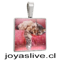  Dije acero inoxidable, personalizable cuadrado