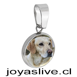 Dije de Acero Inoxidable Foto Personalizable Resina