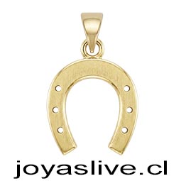 Dije de Oro 18 kl. Herradura